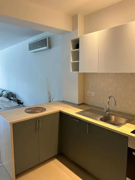 Mosh Herastrau Apartment Bukareszt